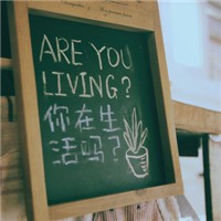 小番茄