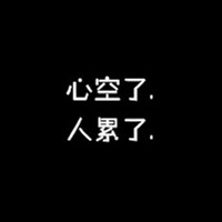 流浪的猫