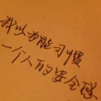 两面派