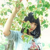 放鸽子锦标赛冠军