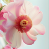 节奏沙漠