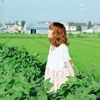 人间清醒