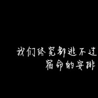 老司机