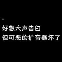 暴躁的小狮子