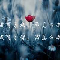 锅巴爱编程