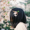 风中的云