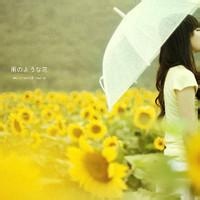 光影纪