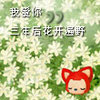 摸鱼达人