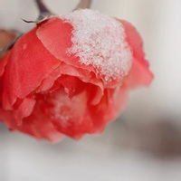雪白银河