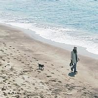 科技发烧友